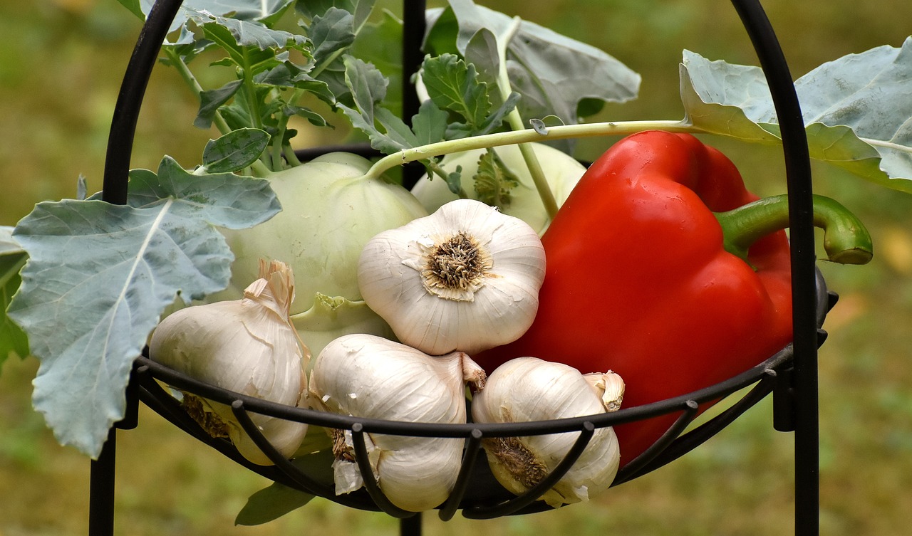 Obst und Gemüse nachhaltig lagern